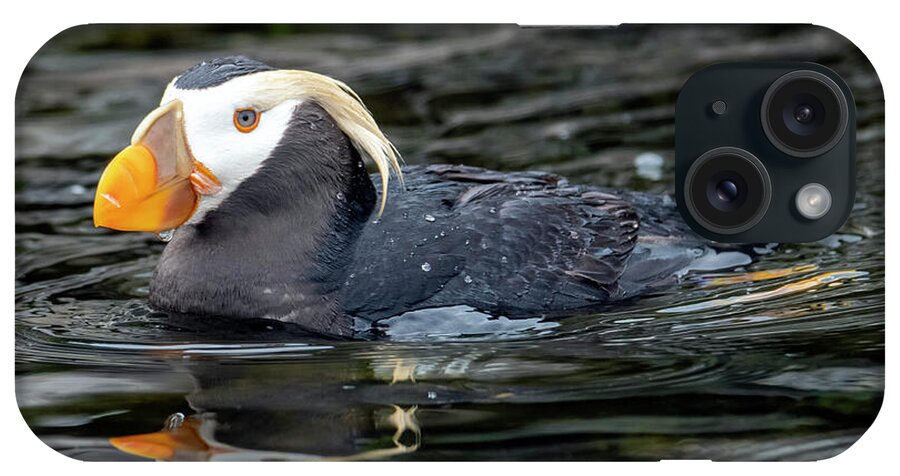 Puffin iPhone Case featuring the photograph Puffin Reflections by Michael Dawson