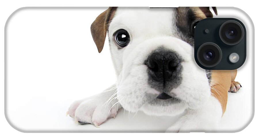 Animals iPhone Case featuring the photograph Puppies 009 by Andrea Mascitti Puppies