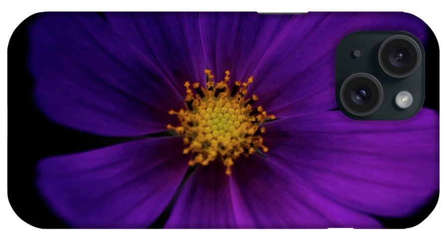 Purple iPhone Case featuring the photograph Purple Flower Close Up On A Black by Michael Duva