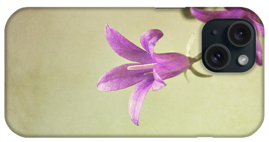 Purple iPhone Case featuring the photograph Purple Flowers by Photo - Lyn Randle