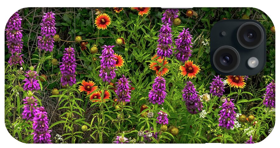 Texas Wildflowers iPhone Case featuring the photograph Purple Horsemint Morning by Johnny Boyd