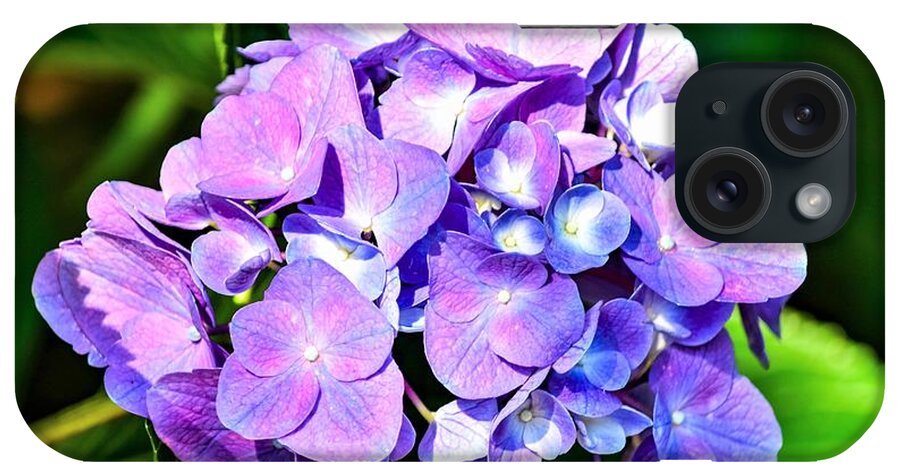 Hydrangea iPhone Case featuring the photograph Purple Hydrangea Beauty by Mary Ann Artz