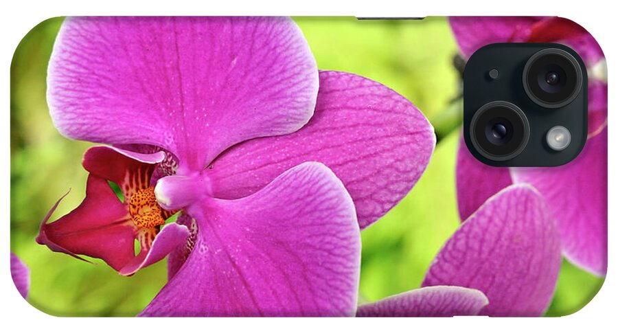 Purple iPhone Case featuring the photograph Purple Orchids, Close-up by Sami Sarkis