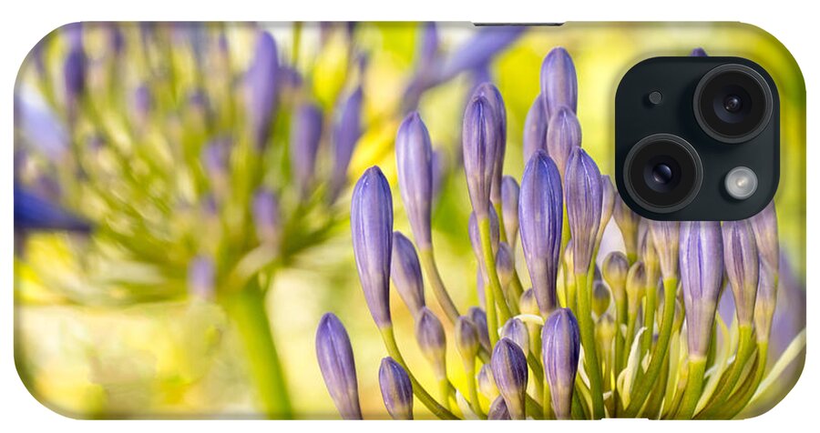 Flowers iPhone Case featuring the photograph Purple Pods by Derek Dean