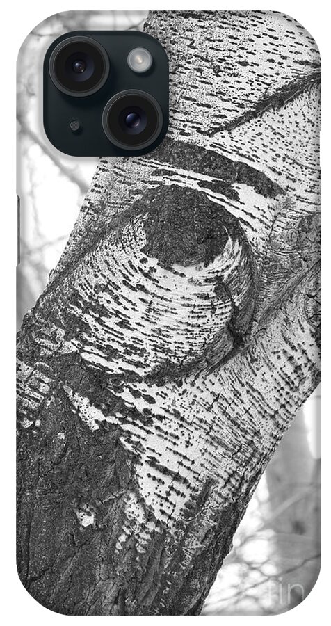 Tree iPhone Case featuring the photograph Quail in the Poplar Tree by Carol Groenen