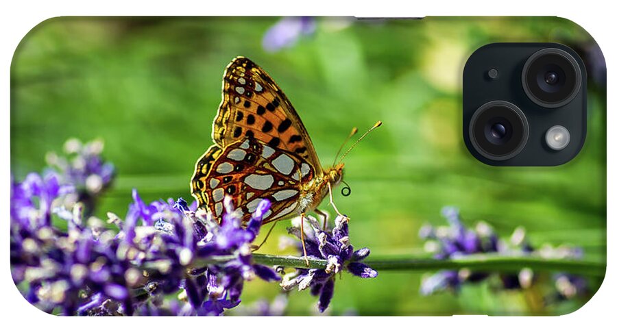 Queen Of Spain Fritillary iPhone Case featuring the photograph Queen of Spain fritillary in profile on the blue lavender by Torbjorn Swenelius