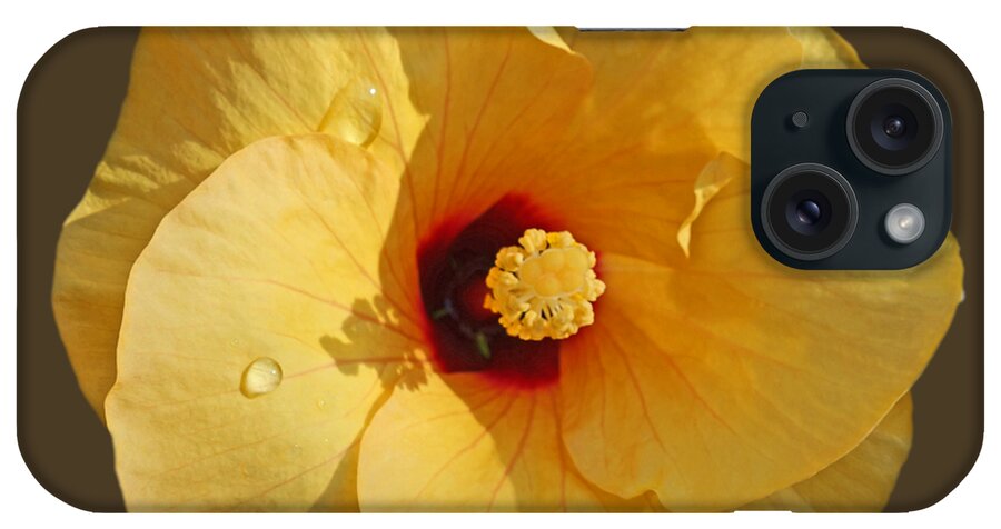 Yellow Hibiscus Bloom iPhone Case featuring the photograph Rain and Shine by Charles Stuart