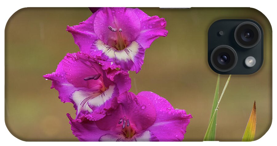Astoria iPhone Case featuring the photograph Rainy Day Glads by Robert Potts