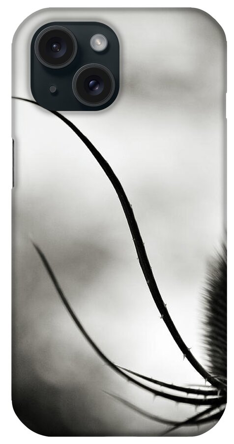 Thistle iPhone Case featuring the photograph Reach up by Michelle Wermuth