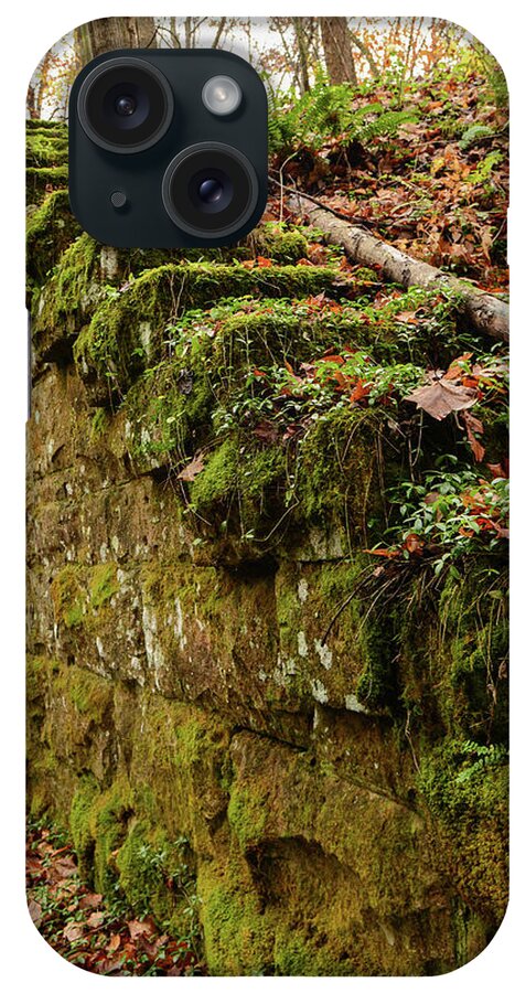 Fall iPhone Case featuring the photograph Reclaimed Steps II by Lisa Lambert-Shank