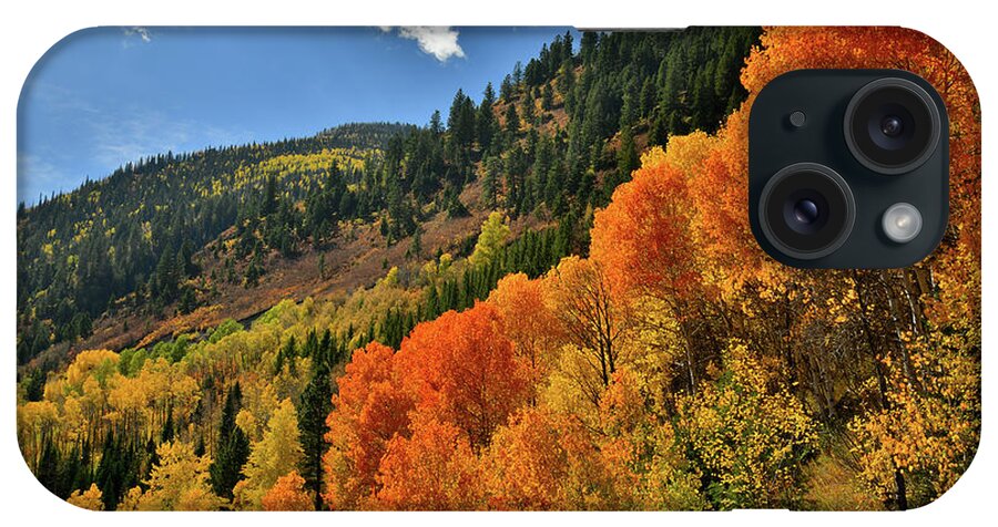 Colorado iPhone Case featuring the photograph Red Aspens Along Highway 133 by Ray Mathis