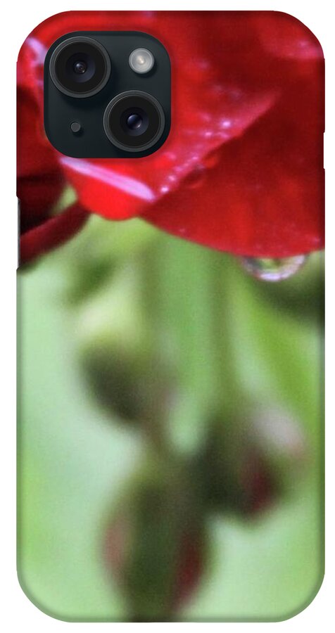 Red Azalea Petals On A Rainy Morning. iPhone Case featuring the photograph Red Azalea Petals On a Rainy Morning by Philip And Robbie Bracco