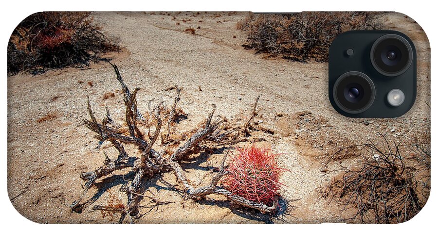 Anza-borrego Desert State Park iPhone Case featuring the photograph Red Barrel Cactus by Mark Duehmig