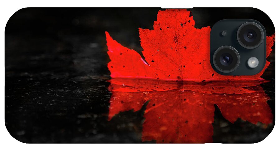 Fall iPhone Case featuring the photograph Red Leaf Reflection by Tim Kirchoff