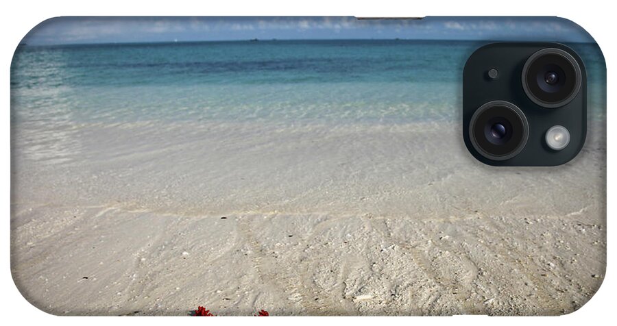 Tanzania iPhone Case featuring the photograph Red Sea Star by Alessandro Capurso