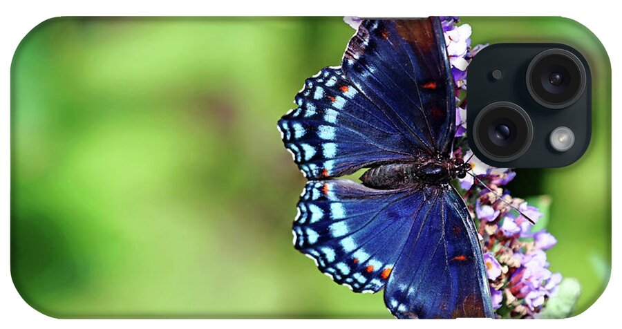 Butterfly iPhone Case featuring the photograph Red Spotted Purple Beauty by Debbie Oppermann