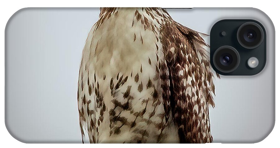 Nature iPhone Case featuring the photograph Red Tailed Hawk by JASawyer Imaging