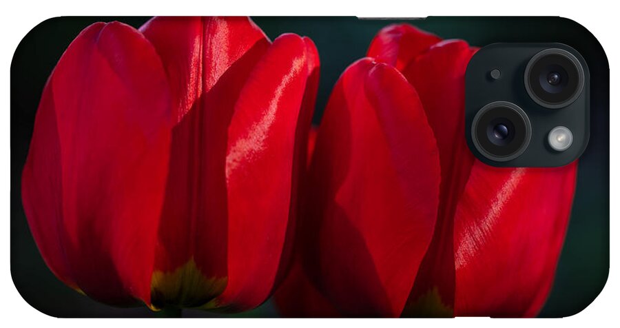Photography iPhone Case featuring the photograph Twin Red Tulips by Alma Danison
