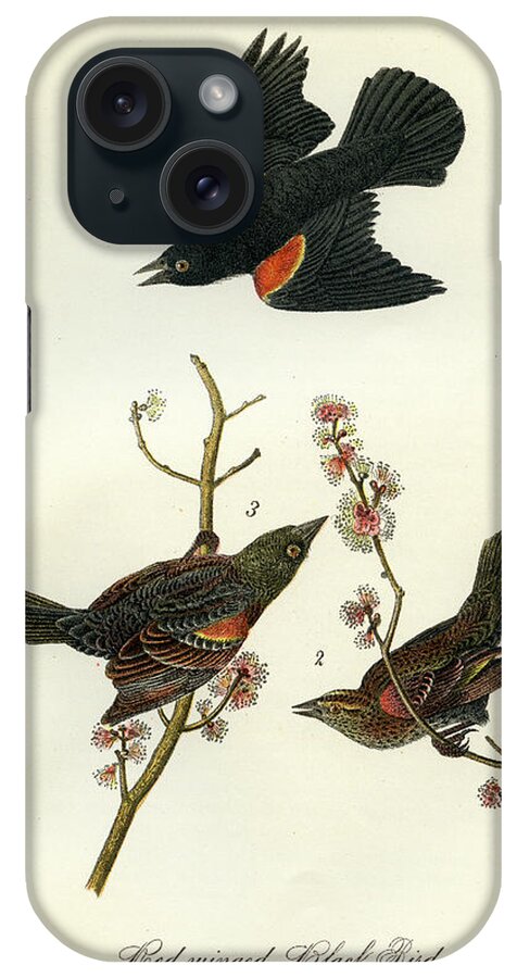 Bird iPhone 15 Case featuring the mixed media Red-Winged Black-Bird by Unknown