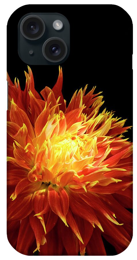 Firework Display iPhone Case featuring the photograph Red-yellow Dahlia Flower by Eyepix