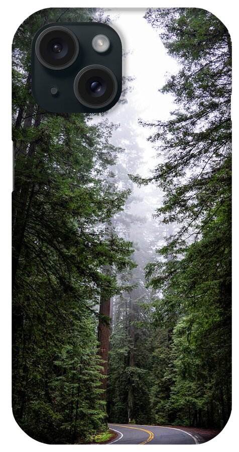 Sebastian Kennerknecht iPhone Case featuring the photograph Redwoods Along Avenue Of The Giants by Sebastian Kennerknecht