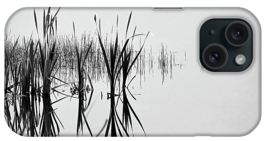 2019-05-31 iPhone Case featuring the photograph Reed Reflection by Phil And Karen Rispin