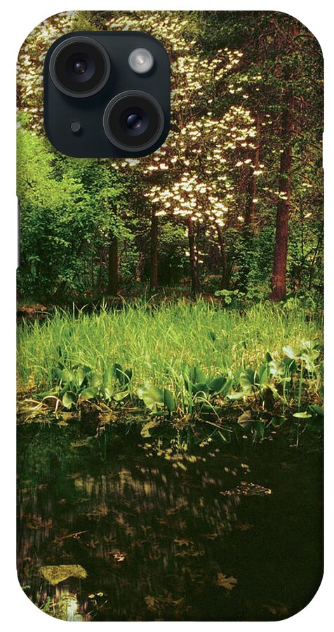 Scenics iPhone Case featuring the photograph Reflection Of Trees In A River, Merced by Medioimages/photodisc