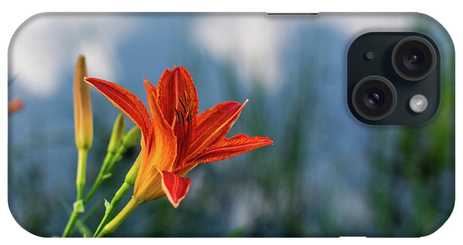 Tiger Lily iPhone Case featuring the photograph Reflections on a Tiger Lily by Douglas Wielfaert