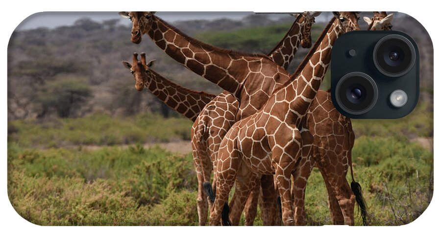 Africa iPhone Case featuring the photograph Reticulated Giraffes Samburu by Steve Somerville
