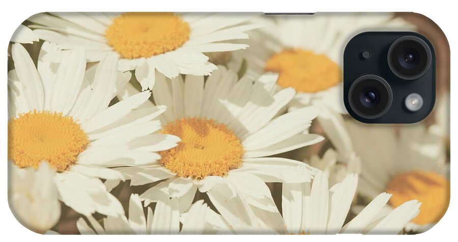 Petal iPhone Case featuring the photograph Retro Daisies by Poppy Thomas-hill