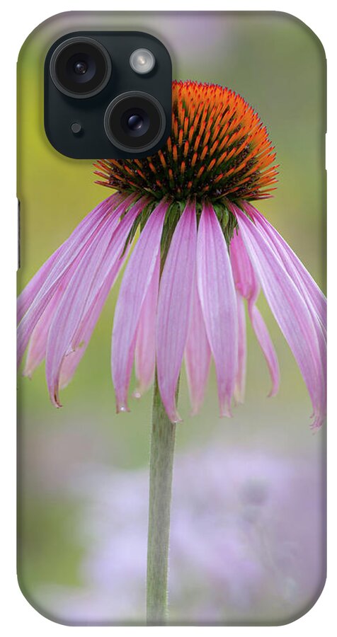 Flowers iPhone Case featuring the photograph Rising Above by Dale Kincaid