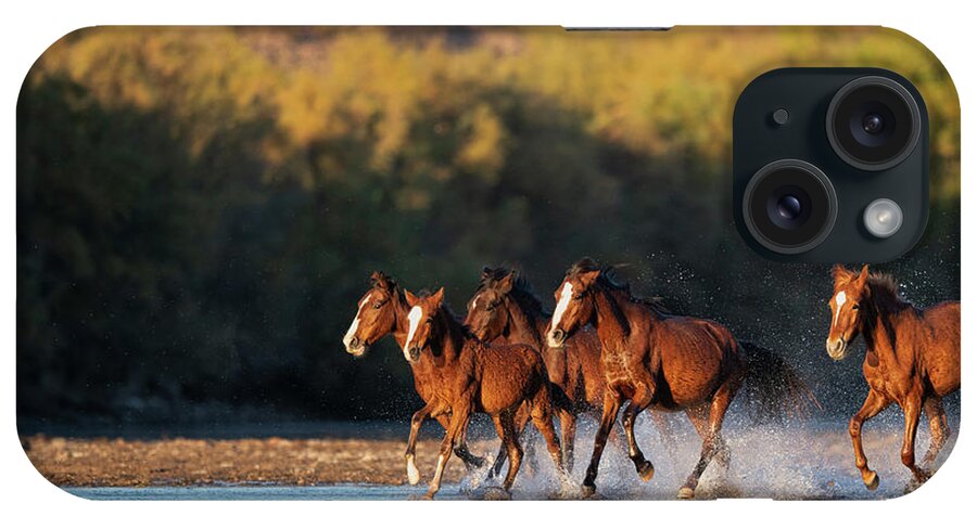 Salt River Wild Horses iPhone Case featuring the photograph River Run 3 by Shannon Hastings