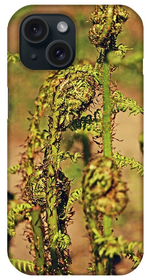 Rivington iPhone Case featuring the photograph RIVINGTON Terraced Gardens. Fern Frond. by Lachlan Main