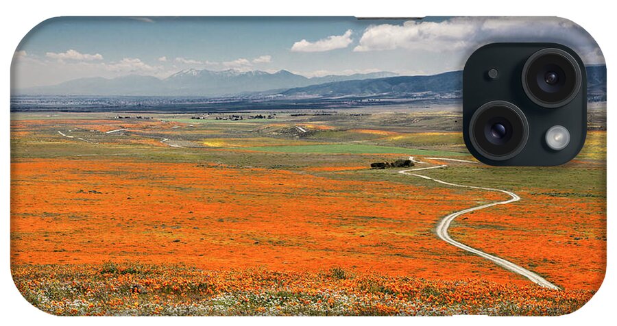 Antelope Valley Poppy Reserve iPhone Case featuring the photograph Road Through The Wildflowers by Endre Balogh