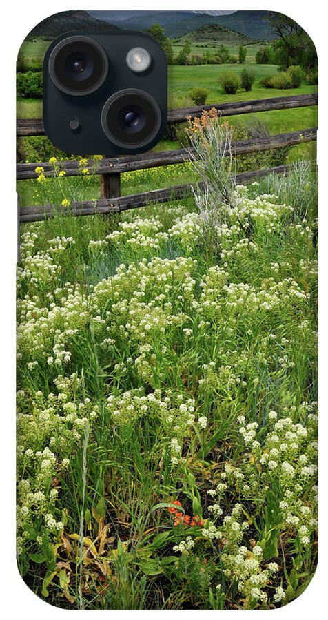 Colorado iPhone Case featuring the photograph Roadside Wildflowers on San Juan Parkway by Ray Mathis