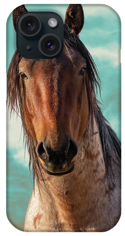 Wild Horses iPhone Case featuring the photograph Roany by Mary Hone