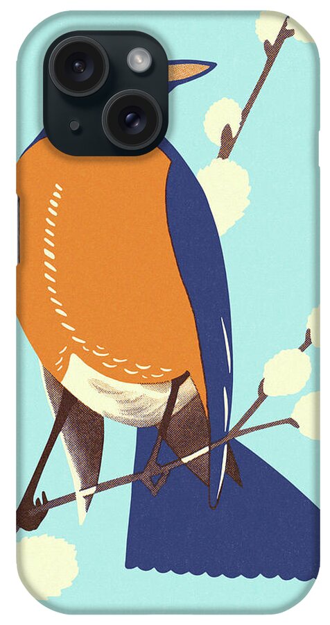 Animal iPhone Case featuring the drawing Robin Perched on a Branch by CSA Images