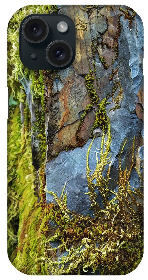 Nature iPhone Case featuring the digital art Rock, Moss, and Ferns by Lisa Redfern