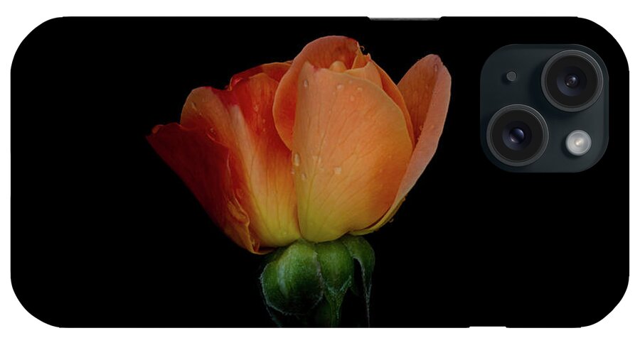 Ray Kent iPhone Case featuring the photograph Rose #1 by Ray Kent