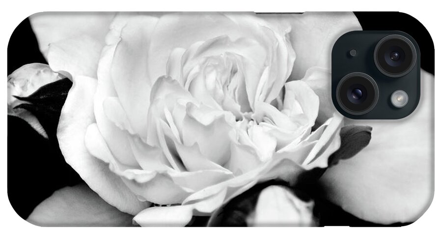 Flowers iPhone Case featuring the photograph Rose Black and White by Christina Rollo