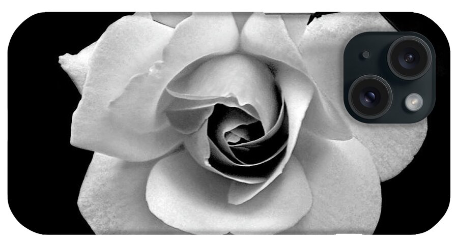 Flowers iPhone Case featuring the photograph Rose in Gray Tone by Dianne Morgado