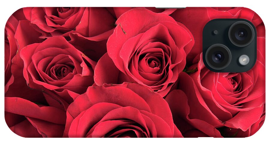 Holiday iPhone Case featuring the photograph Rose by Vidok