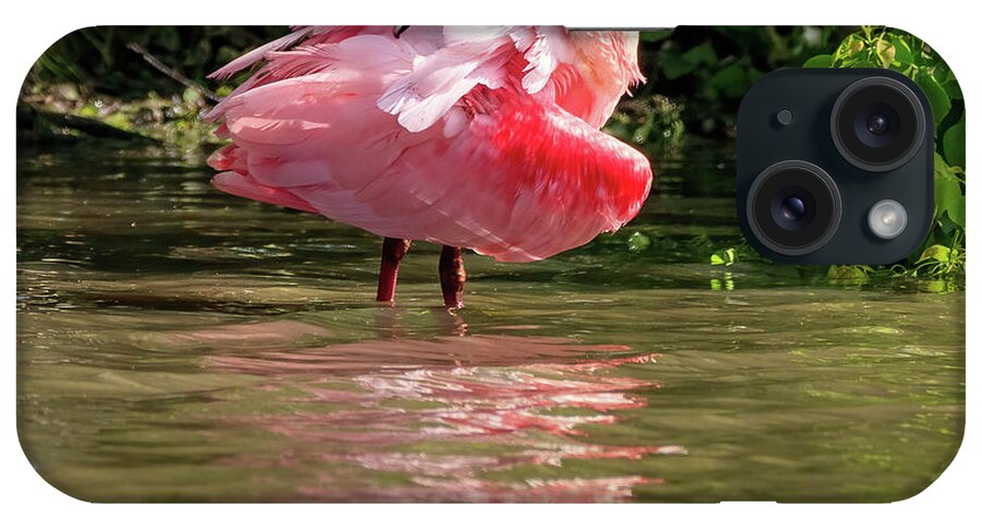Spoonbill iPhone Case featuring the photograph Roseate Spoonbill by JASawyer Imaging
