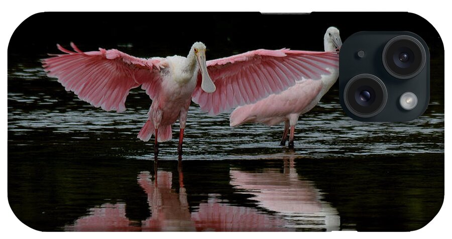 Spoonbill iPhone Case featuring the photograph Roseate Spoonbills by Jim Bennight