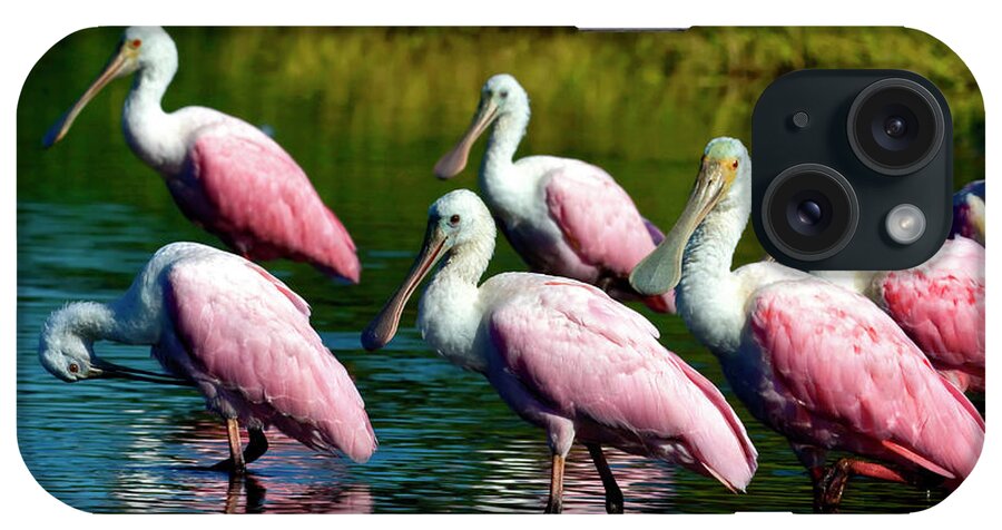 Roseate Spoonbill Birds iPhone Case featuring the photograph Roseate Spoonbills by Sally Weigand