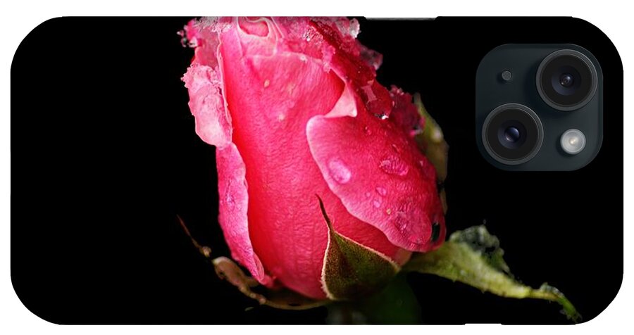 Photography iPhone Case featuring the photograph Rosebud by Larry Ricker