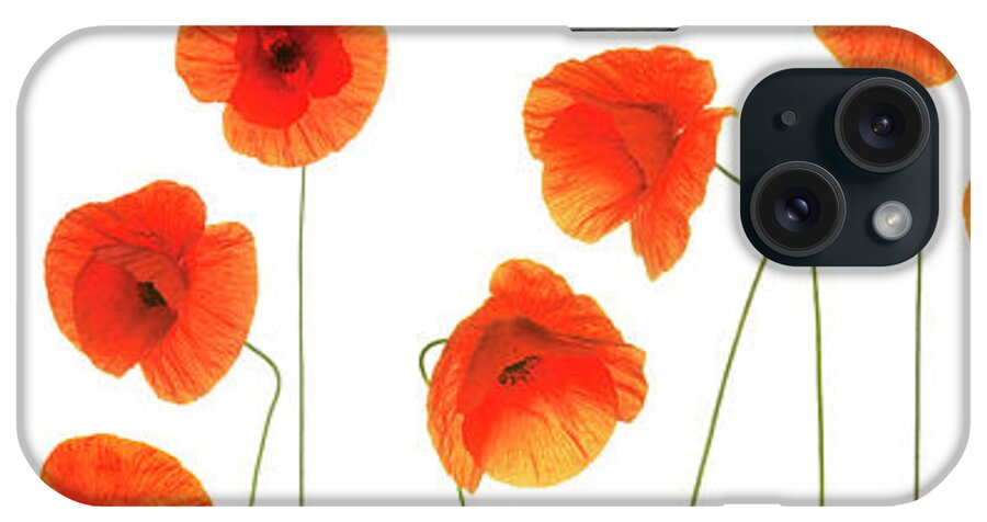 Row Of Poppies On White iPhone Case featuring the mixed media Row Of Poppies On White by Tom Quartermaine