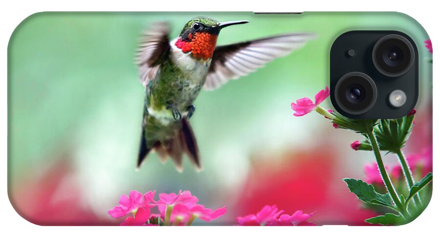 Hummingbird iPhone Case featuring the photograph Ruby Garden Jewel by Christina Rollo