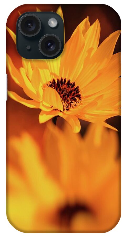 Coneflower iPhone Case featuring the photograph Rudbeckia Grandiflora by Jaroslav Buna
