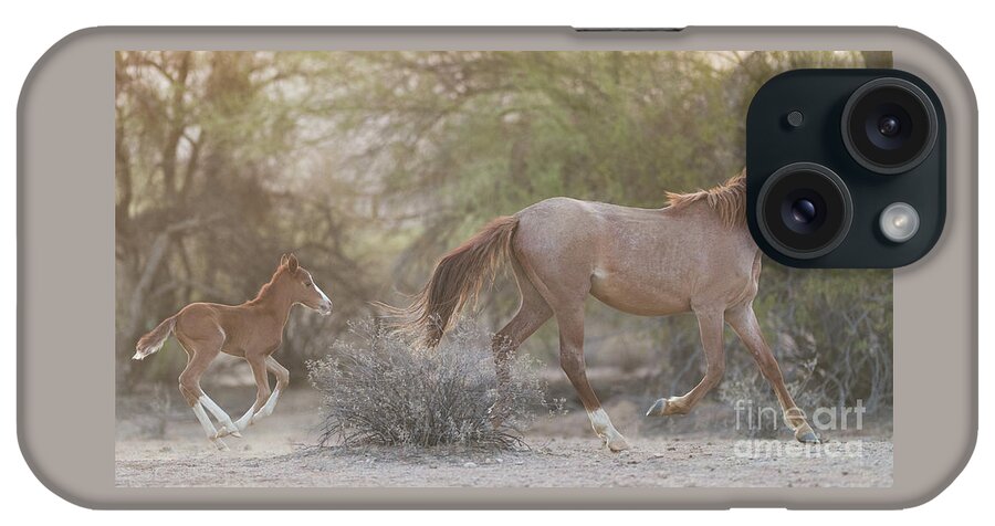 Foal iPhone Case featuring the photograph Running by Shannon Hastings